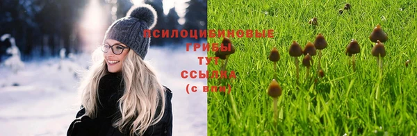 бошки Лихославль