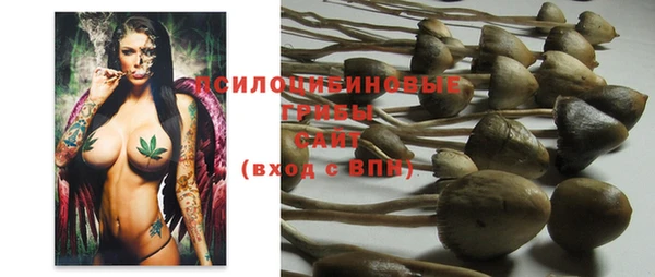 прущая мука Абдулино