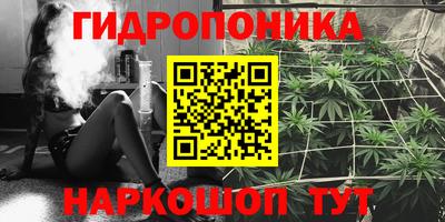 крисы Севастополь