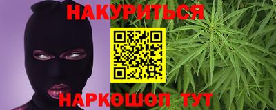 крисы Севастополь