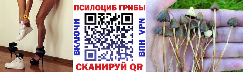 Галлюциногенные грибы мухоморы это состав Новокузнецк