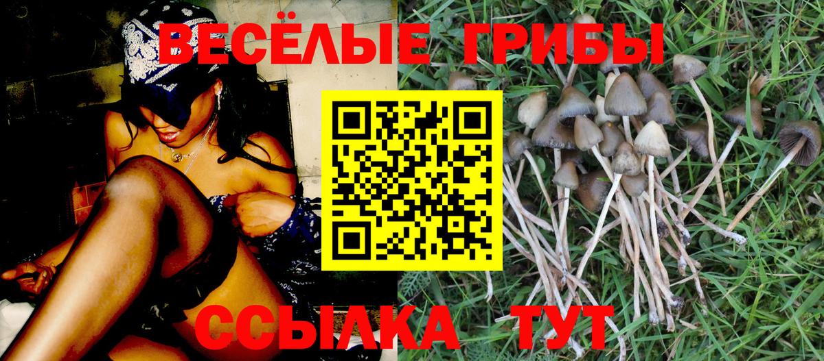 Псилоцибиновые грибы Psilocybe  Вход с VPN  дарнет шоп  Новокузнецк 