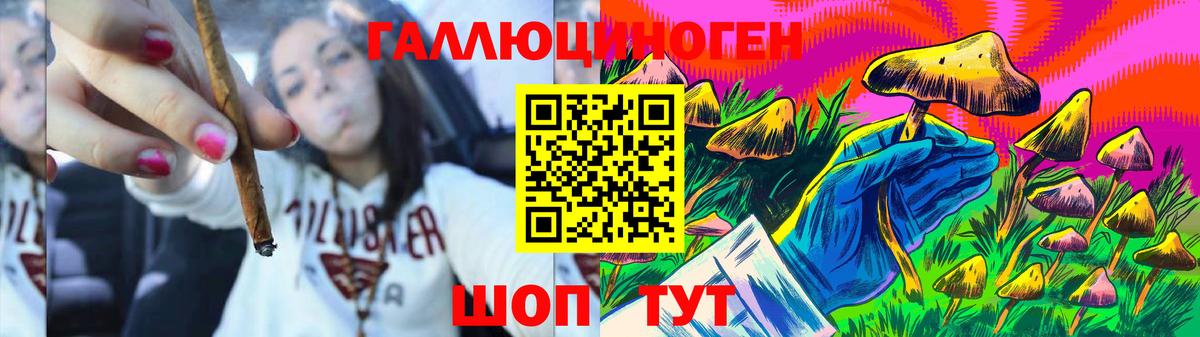 Псилоцибиновые грибы мицелий Новокузнецк